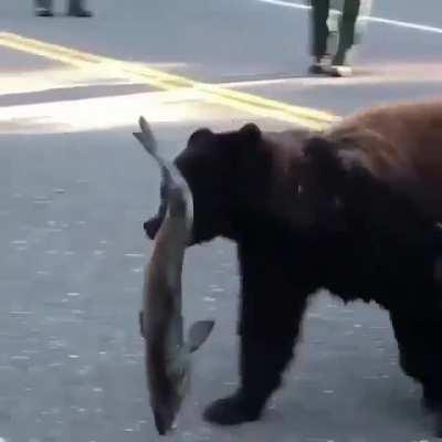 A Bear with a salmon