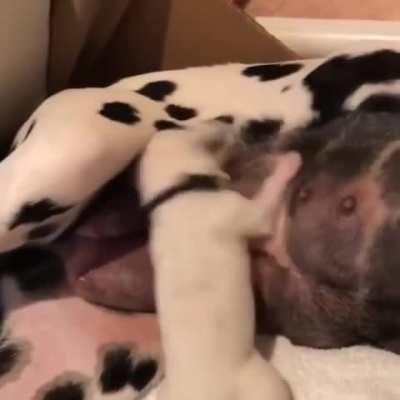 Motherhood isn't easy...