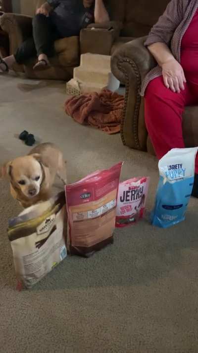 Grandma’s 16 year old dog picks which treat she wants every day.