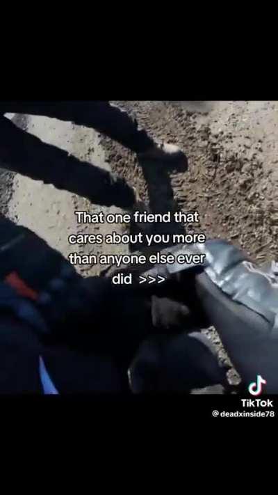 I’M SORRY, I FAILED YOU 😭