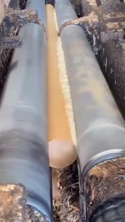 A log being ground down to a smaller diameter pole. The excess stripped off will be made into wood pulp for paper.