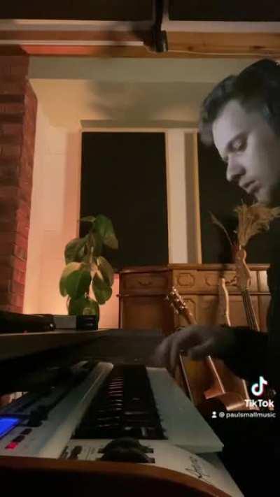 This parrot deserves a solo indie pop album