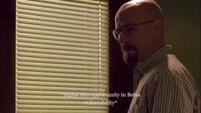 Sigma Walt Instills the #Grindset