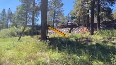 To build something safe and fun for the kids...