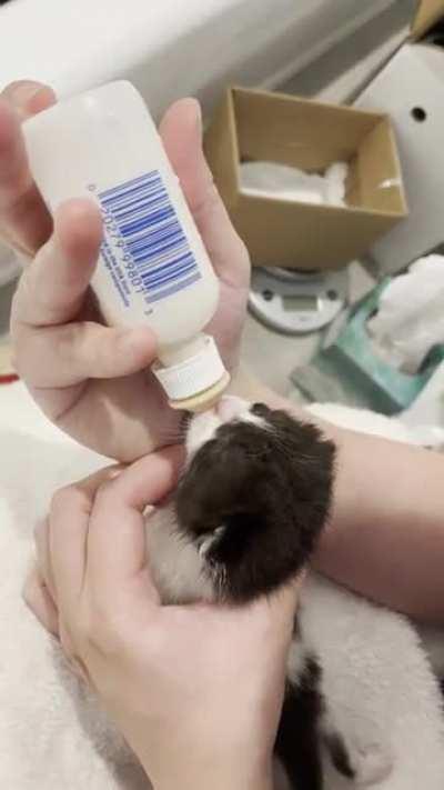 Smol bottle fed baby