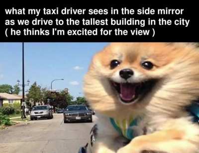 I’m Going To Jump Off The Roof *Wink* *Wink*