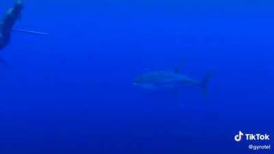 he tried to scream.. but his head was underwater