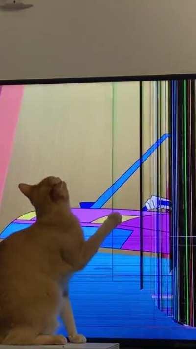 My TV has been broken for over a month, but can you guess who broke it in the first place?