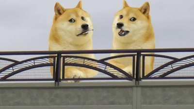 Le Motivation to Quit has arrived