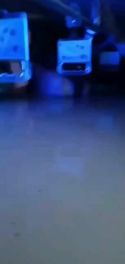 大家不要说话，热不热啊！