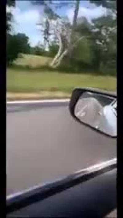 This is what my nightmares are made of