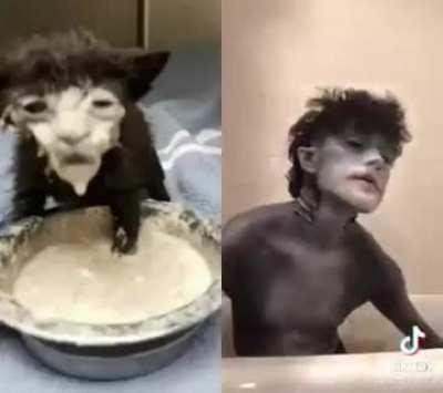 i hope i'll get enough upvotes