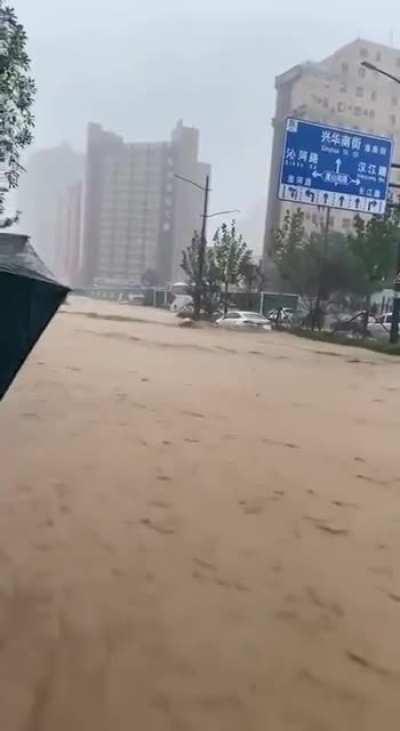 热爱漂流演绎与大自然精彩搏斗的荷兰猪😂