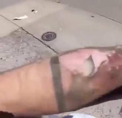 POV: You are a meat crayon