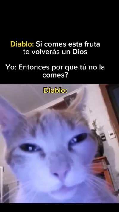 BeelcitosMemes - Video #3754