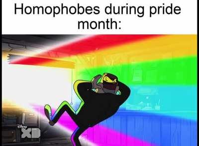 Gayporised