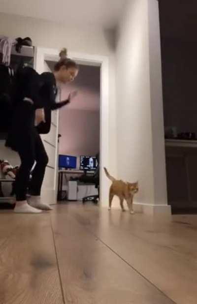 Let me show you an exercise