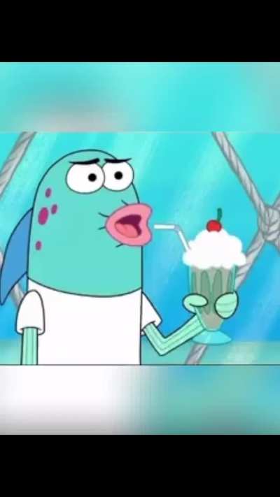 Bob l'éponge commence