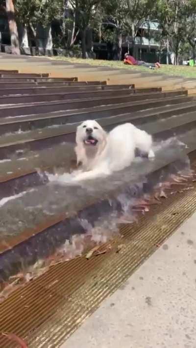 Just cooling off for the summer