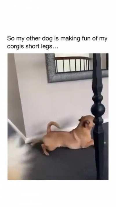 That sneeze of disregard