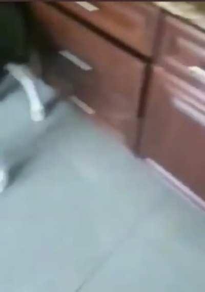 No evidence can be found in the available footage as to who has eaten half the cookies.