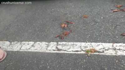 Preview(flats sandals)