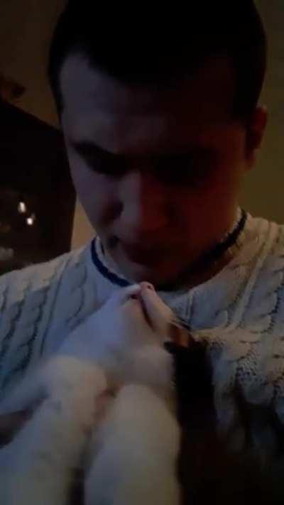 My cat smacked me so hard lmaoo