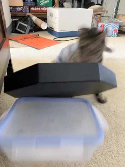 Luna rolled a 1 on....everything?