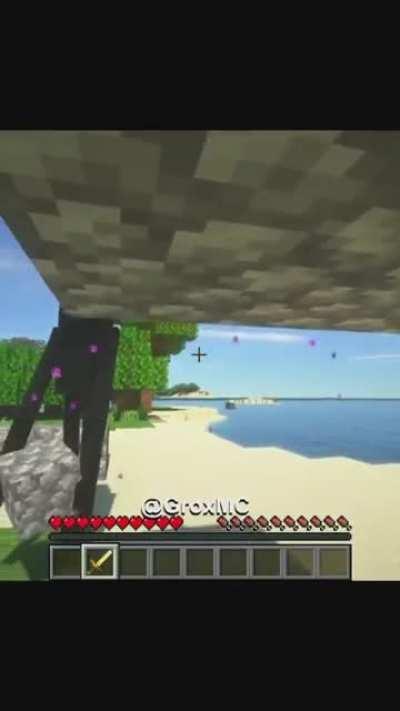 Lmao! Ender man is done with this bulls*t
