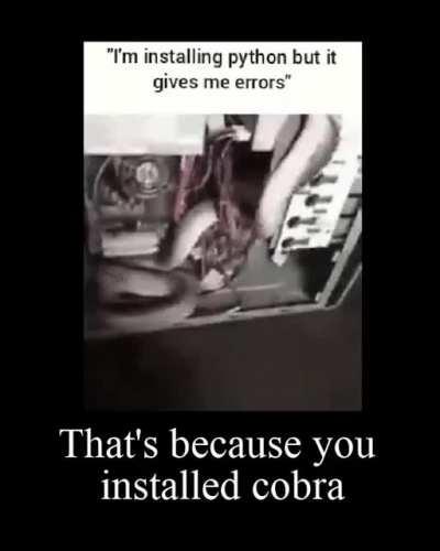 I'm 15 and this is yeet