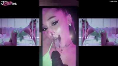 Ariana Grande Compilation Splitscreen PMV made with goontok.com