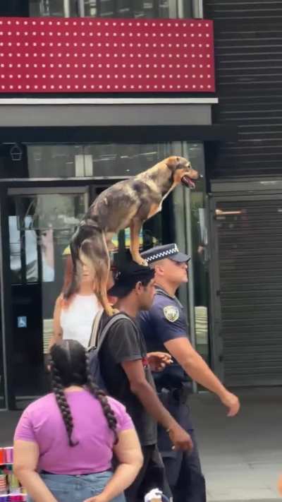 Nahhhhh Brazil is different.