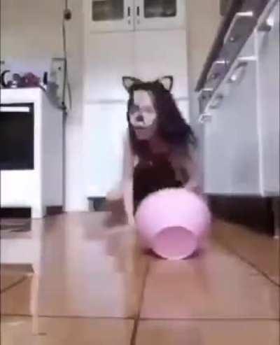 Плохая собака