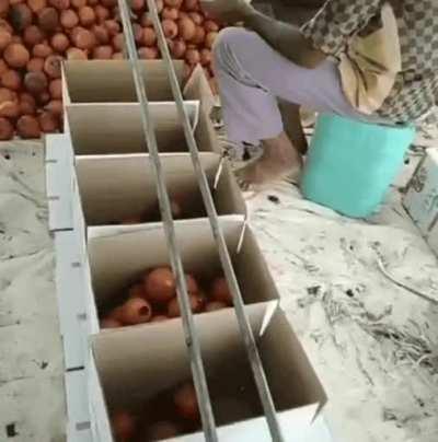 World's most simple 'sorting by size' system.