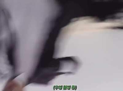 camerawork on music shows be like