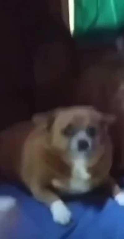 🏴󠁧󠁢󠁳󠁣󠁴󠁿