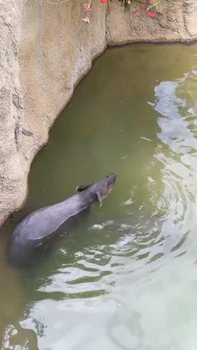 Mother and Daughter at the San Diego Zoo