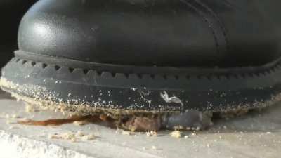 Snail squished under boots