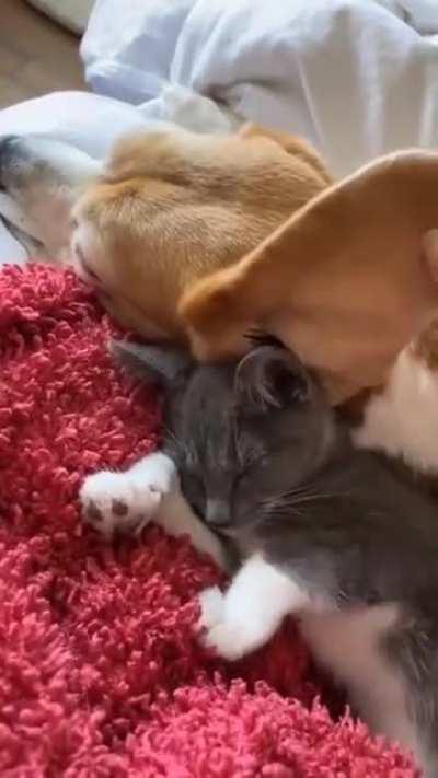 This is the cutest thing you'll see today 😍😍😍