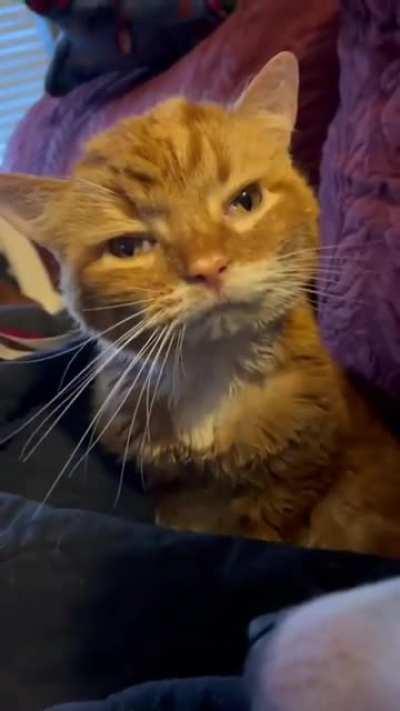 He woke up at 7, and the cell clocks in around 8 at the earliest..