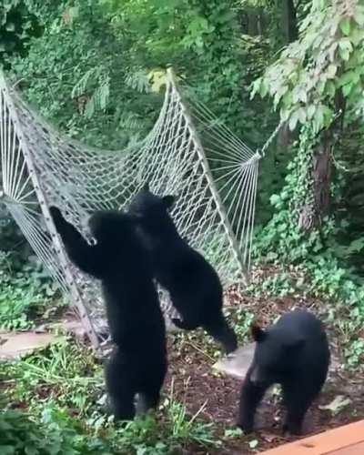 Reminds me of that Tom n Jerry episode