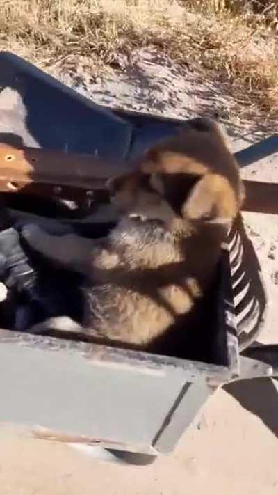 Yo soy due&ntilde;o e' casa