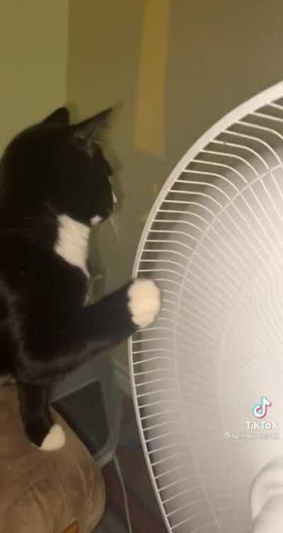 When a Peter Built goes on a down grade