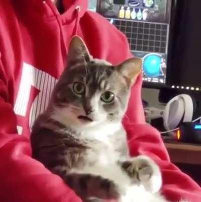 Da HELL did you just say?