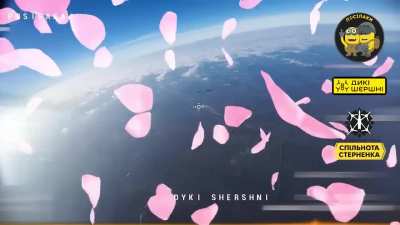 FPV drones of Posipaki division operators hit 2 Supercams. March 2025, somewhere in the airspace.