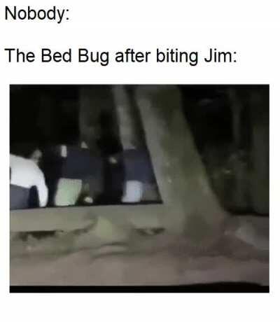 So Smug, Like it was All a Big Joke