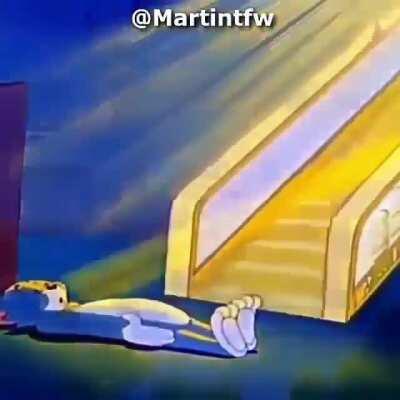 Se legalizarem a maconha cenas como essa vai ser normais