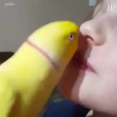 Bros come in all shapes and sizes