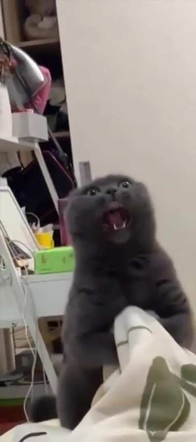 This alarm clock won't let me oversleep