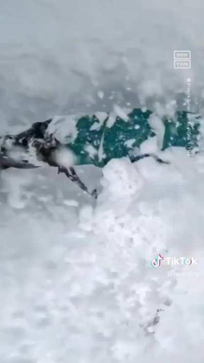 Skier rescues a trapped snowboarder